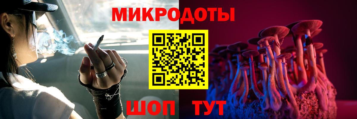 Чехов  Галлюциногенные грибы Psilocybine cubensis  Галлюциногенные грибы прущие грибы  Вход с VPN 